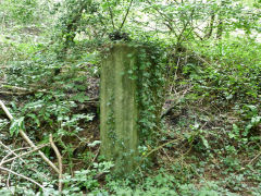 
Aerial ropeway, Celynen South Colliery, Abercarn, July 2012